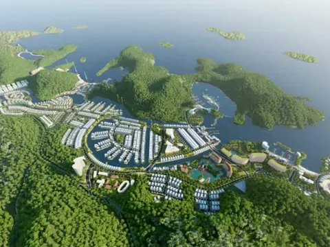 Vinaconex thoái bớt vốn tại dự án Cát Bà Amatina