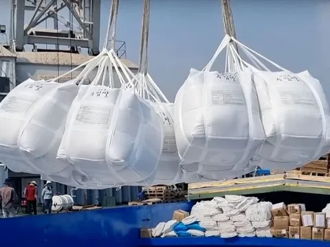 Xuất khẩu gạo Việt Nam không chịu tác động tiêu cực từ việc Philippines tạm ngưng nhập khẩu