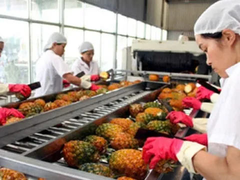 Xuất khẩu Việt Nam lập kỷ lục mới sau nhiều năm nỗ lực