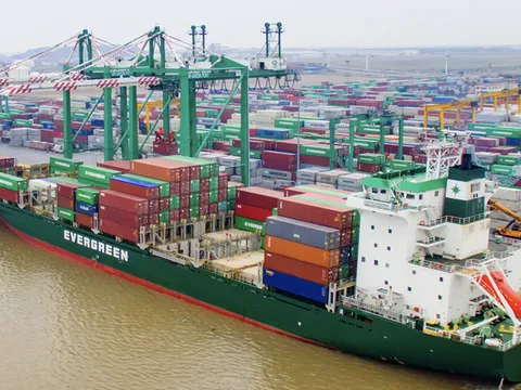Cổ phiếu tăng gần 40% trong 1 tuần, VSC giải trình do cung – cầu thị trường
