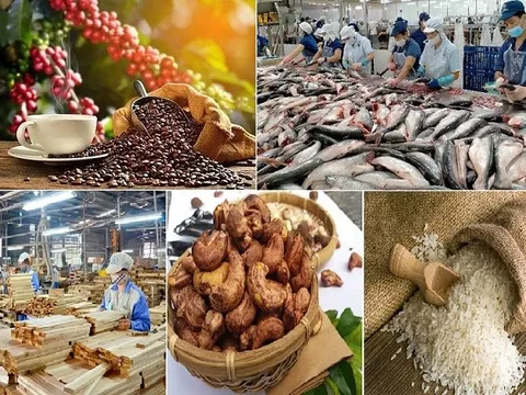 Xuất khẩu nông lâm thủy sản Việt Nam đạt hơn 45 tỷ USD trong 8 tháng