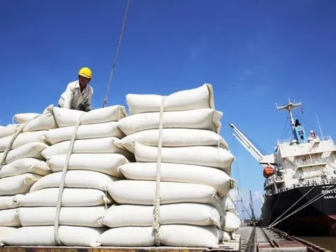 Hoàn thành đấu thầu 200.000 tấn gạo dự trữ quốc gia