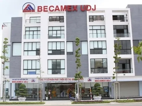 Becamex UDJ: Doanh thu tăng hơn 250%, nhưng lợi nhuận chỉ đạt 1,87 tỷ đồng trong quý 3