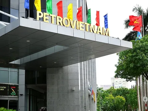 PVN muốn thoái hết vốn tại Petrosetco, dự thu hơn 900 tỷ đồng