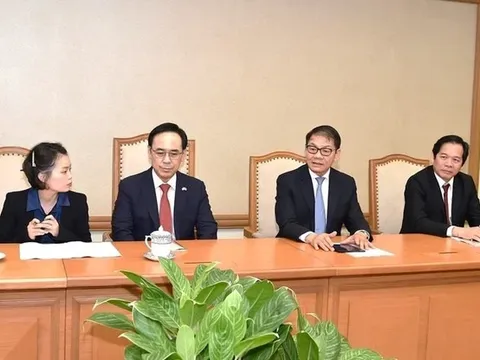 THACO công bố 108 nhà đầu tư nước ngoài nắm 26,8% vốn điều lệ, JC&C của Singapore nắm 26,6%, có nhiều tên cá nhân Hàn Quốc