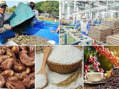 Xuất khẩu sang Mỹ vượt 126 tỷ USD, loạt ngành hàng lập kỷ lục doanh số