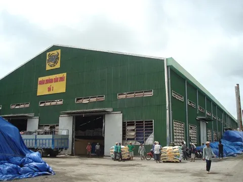 Phân bón Bình Điền (BFC): Bị phạt và truy thu hơn 3,6 tỷ đồng tiền thuế, vay nợ tăng vọt 77%