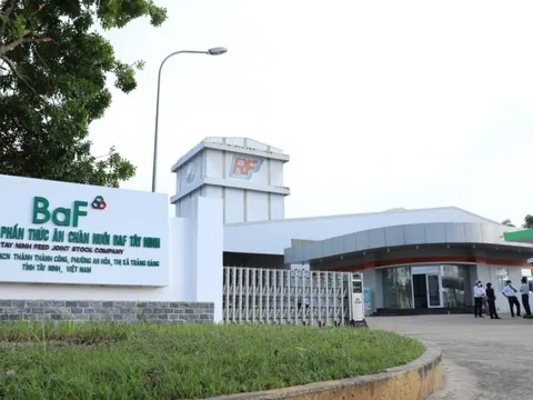 BAF Việt Nam (BAF) sắp phát hành 60,8 triệu cổ phiếu cho cổ đông hiện hữu