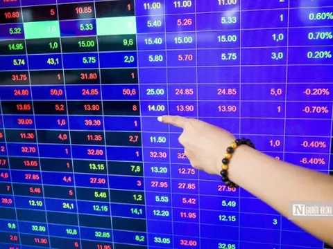 Sao Thăng Long có cổ đông lớn mới