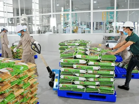 Vinaseed báo lãi quý II giảm hơn 30%, tồn kho vượt 1.000 tỷ đồng