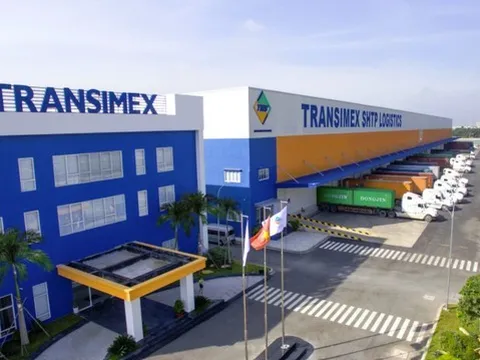 Transimex tiếp tục đăng ký mua vào 1 triệu cổ phiếu VNF