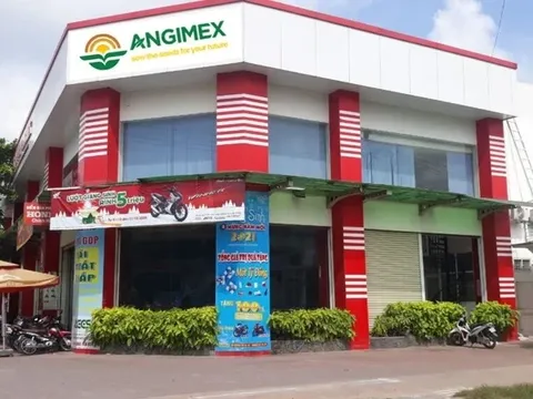 Chủ tịch Lương Đức Tâm muốn thoái sạch vốn tại Angimex
