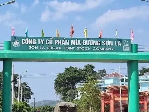 Mía đường Sơn La: Lợi nhuận giảm hơn 70% vẫn quyết trả cổ tức 100%
