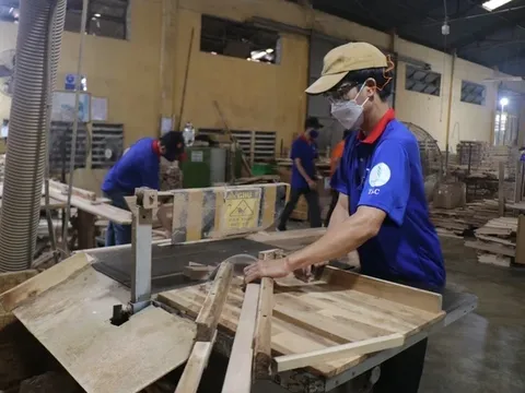 Gỗ Thuận An: Giảm vay nợ, lợi nhuận tăng vọt