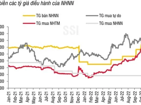 Giá đô la ngoài thị trường đã vượt mốc 25.000 đồng