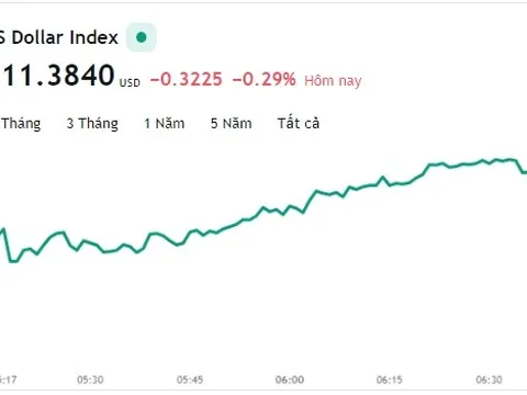 Tỷ giá USD hôm nay 24/10: Cập nhật tỷ giá USD trong nước và quốc tế