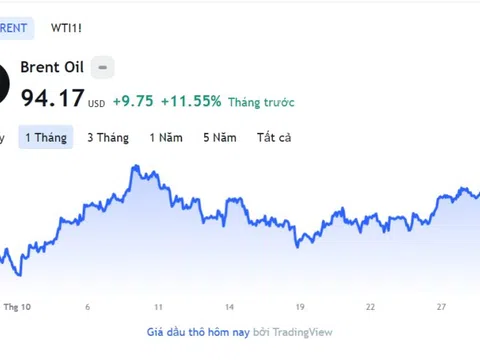 Giá xăng dầu hôm nay 31/10: Cập nhật giá xăng dầu trong nước, quốc tế