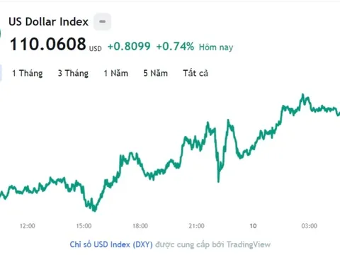 Tỷ giá USD hôm nay 10/11: Cập nhật tỷ giá USD trong nước và quốc tế