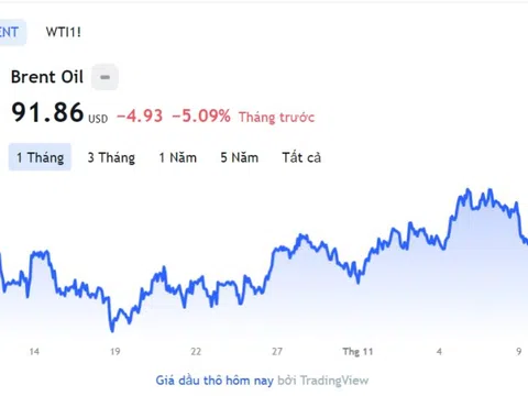 Giá xăng dầu hôm nay 10/11: Cập nhật giá xăng dầu trong nước, quốc tế