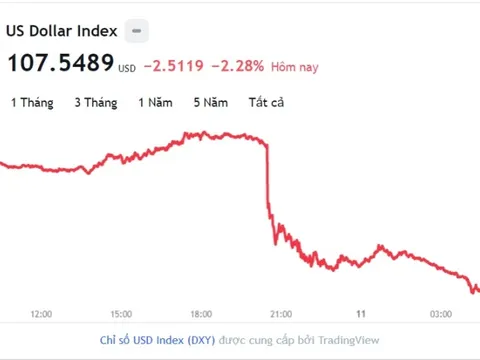 Tỷ giá USD hôm nay 11/11: Cập nhật tỷ giá USD trong nước và quốc tế