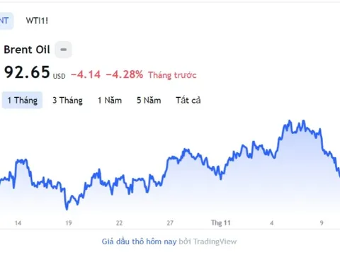 Giá xăng dầu hôm nay 11/11: Cập nhật giá xăng dầu trong nước, quốc tế