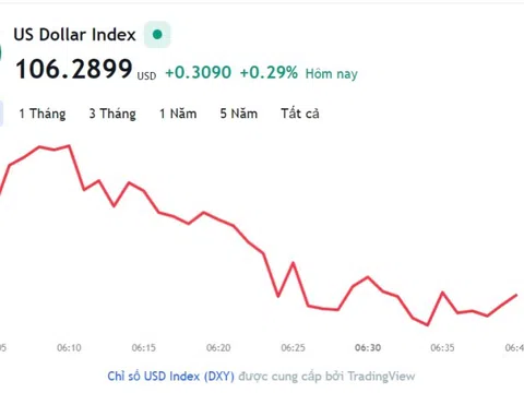 Tỷ giá USD hôm nay 14/11: Cập nhật tỷ giá USD trong nước và quốc tế