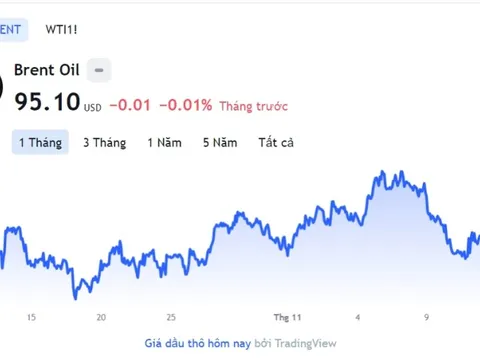 Giá xăng dầu hôm nay 14/11: Cập nhật giá xăng dầu trong nước, quốc tế