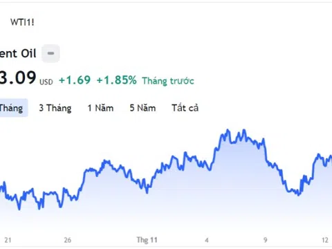 Giá xăng dầu hôm nay 16/11: Cập nhật giá xăng dầu trong nước, quốc tế