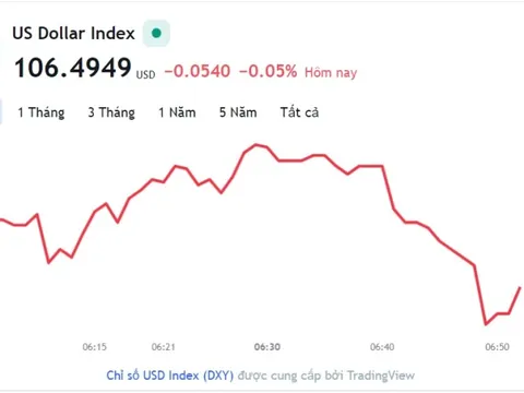 Tỷ giá USD hôm nay 21/11: Cập nhật tỷ giá USD trong nước và quốc tế