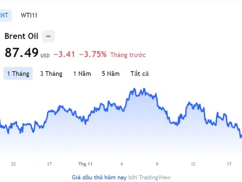 Giá xăng dầu hôm nay 21/11: Cập nhật giá xăng dầu trong nước, quốc tế