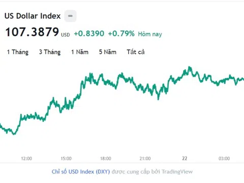 Tỷ giá USD hôm nay 22/11: Cập nhật tỷ giá USD trong nước và quốc tế