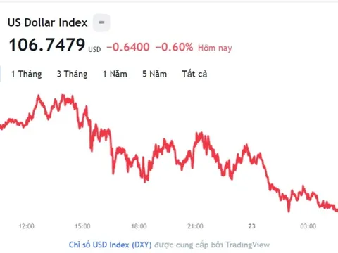 Tỷ giá USD hôm nay 23/11: Cập nhật tỷ giá USD trong nước và quốc tế