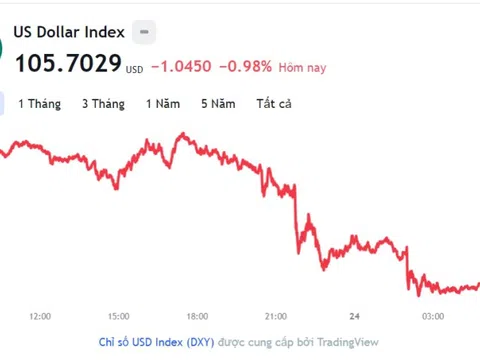 Tỷ giá USD hôm nay 24/11: Cập nhật tỷ giá USD trong nước và quốc tế