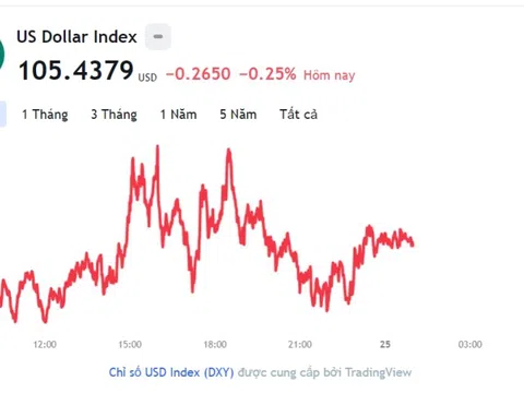 Tỷ giá USD hôm nay 25/11: Cập nhật tỷ giá USD trong nước và quốc tế