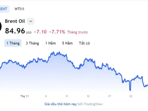 Giá xăng dầu hôm nay 25/11: Cập nhật giá xăng dầu trong nước, quốc tế