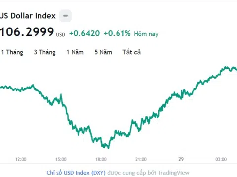 Tỷ giá USD hôm nay 29/11: Cập nhật tỷ giá USD trong nước và quốc tế