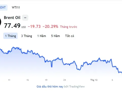 Giá xăng dầu hôm nay 8/12: Cập nhật giá xăng dầu trong nước, quốc tế