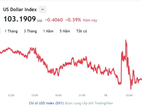 Tỷ giá USD hôm nay 15/12: Cập nhật tỷ giá USD trong nước và quốc tế