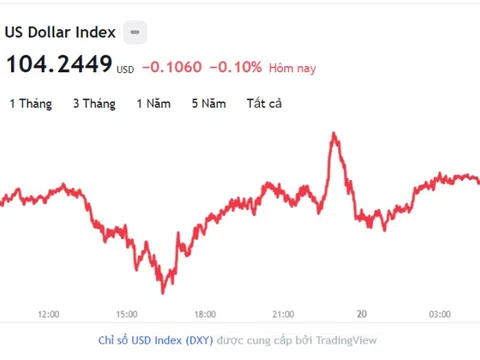 Tỷ giá USD hôm nay 20/12: Cập nhật tỷ giá USD trong nước và quốc tế