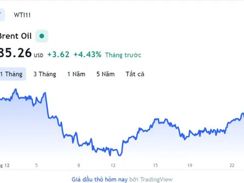 Giá xăng dầu hôm nay 27/12: Cập nhật giá xăng dầu trong nước, quốc tế