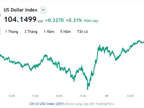 Tỷ giá USD hôm nay 29/12: Cập nhật tỷ giá USD trong nước và quốc tế