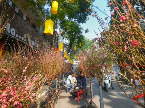 Đón chào năm mới 2023, miền Bắc rét đậm, miền Nam có nắng nhẹ