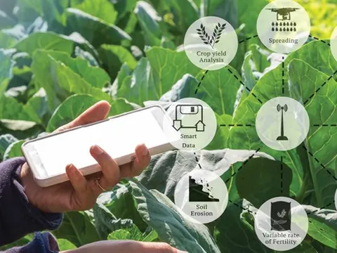 Tiềm năng của ứng dụng công nghệ thông tin trong truy xuất nguồn gốc