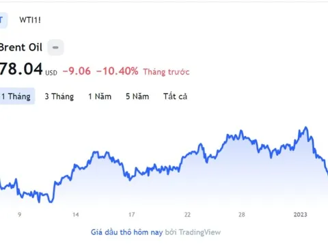 Giá xăng dầu hôm nay 5/1: Cập nhật giá xăng dầu trong nước, quốc tế