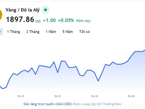 Giá vàng hôm nay 13/1, Bảng giá vàng 9999 Giá vàng SJC PNJ 18K 24K