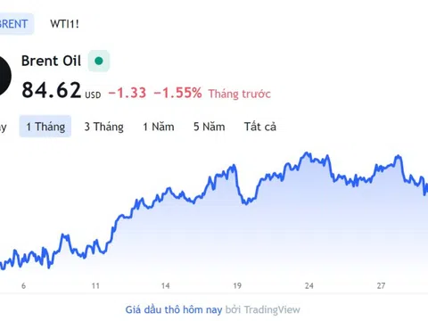 Giá xăng dầu hôm nay 31/1: Cập nhật giá xăng dầu trong nước, quốc tế