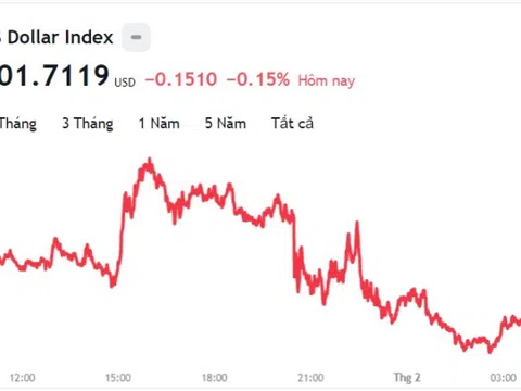 Tỷ giá USD hôm nay 1/2: Cập nhật tỷ giá USD trong nước và quốc tế