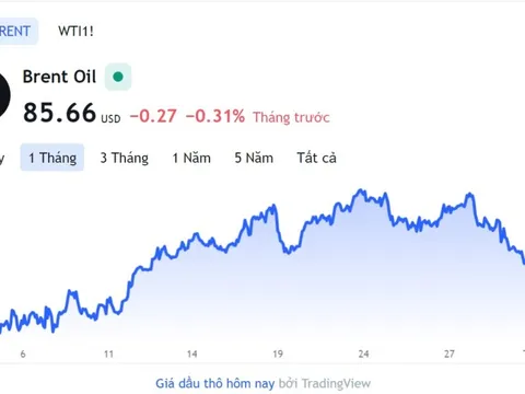 Giá xăng dầu hôm nay 1/2: Cập nhật giá xăng dầu trong nước, quốc tế