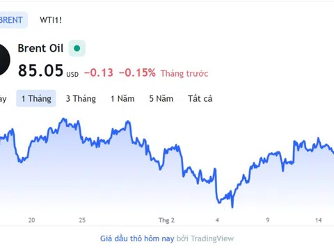 Giá xăng dầu hôm nay 15/2: Cập nhật giá xăng dầu trong nước, quốc tế