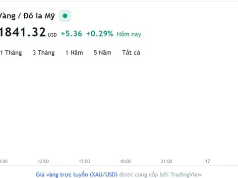 Giá vàng hôm nay 16/2, Bảng giá vàng 9999 Giá vàng SJC PNJ 18K 24K